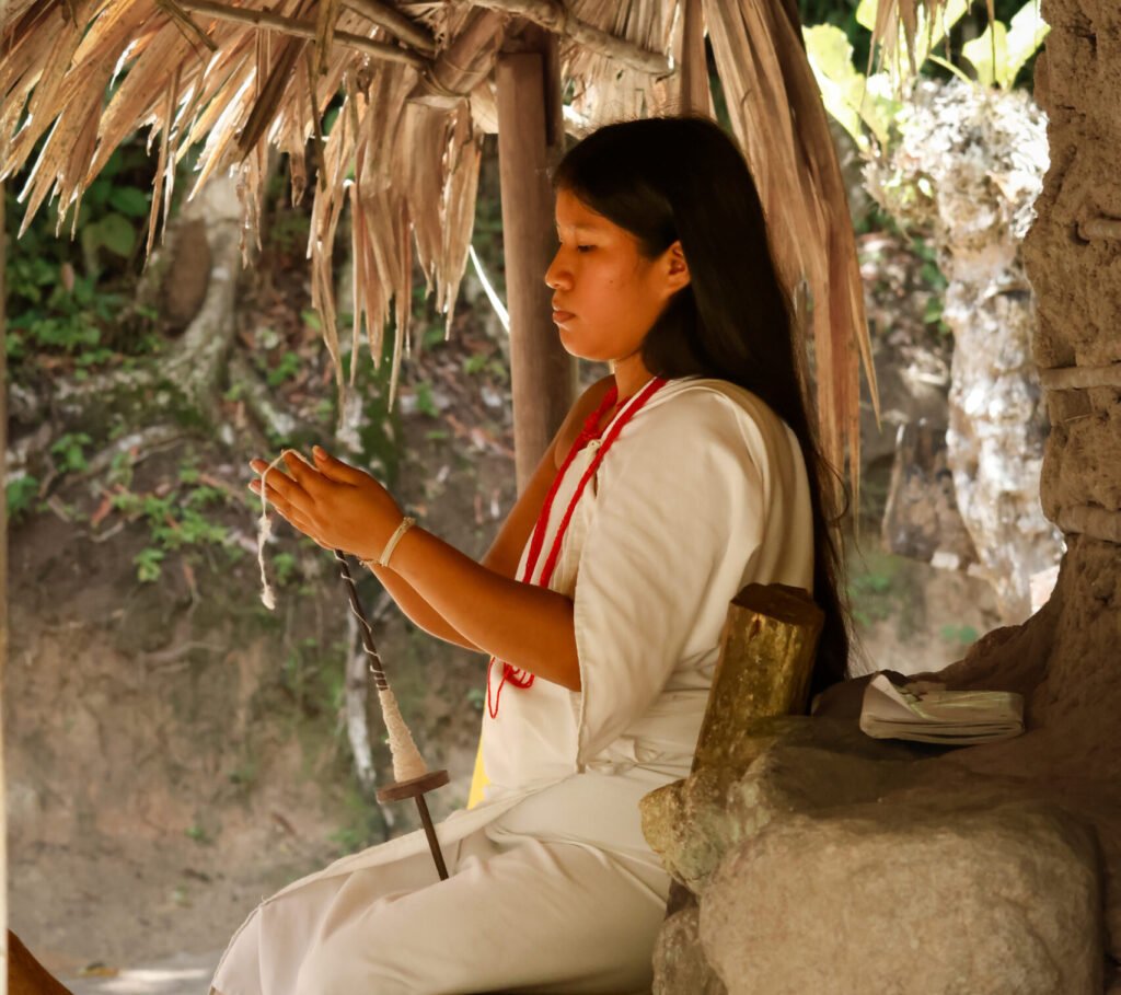 indigena-tayku-tayrona