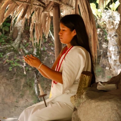 indigena-tayku-tayrona